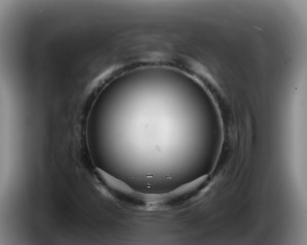 X0000086031304200703301045