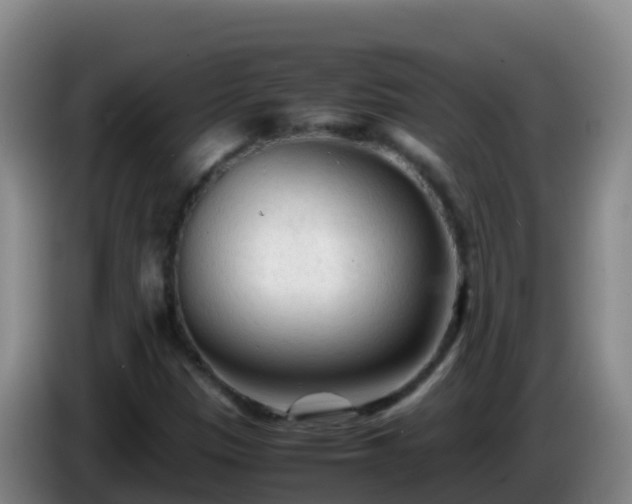 X0000086031305200703301045
