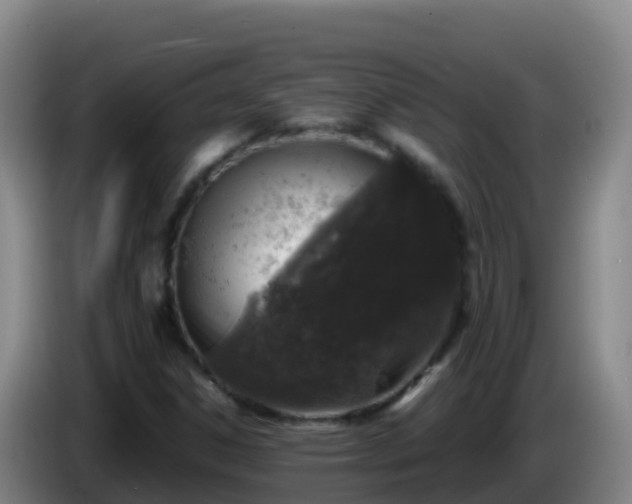 X0000086031306200703301045