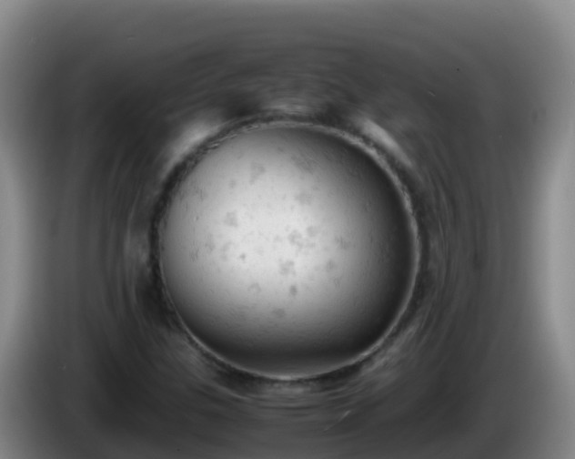 X0000086031307200703301045