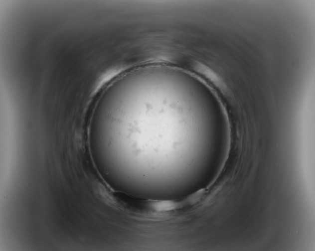 X0000086031308200703301045