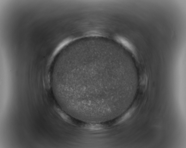 X0000086031310200703301045