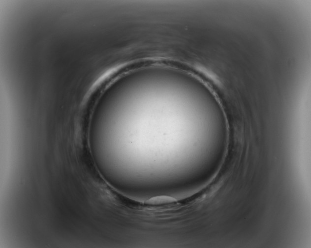X0000086031311200703301045