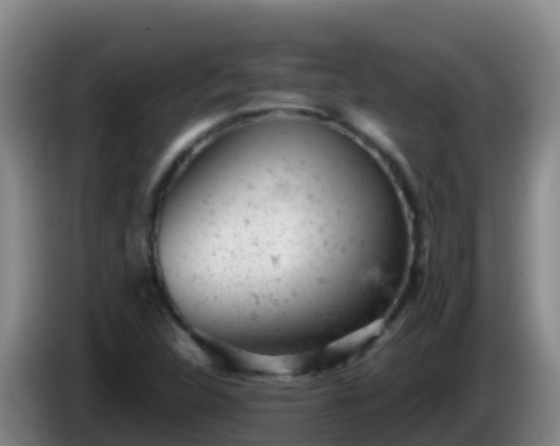 X0000086031312200703301045