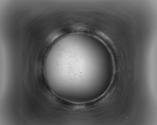 X0000086031313200703301045
