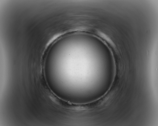 X0000086031316200703301045