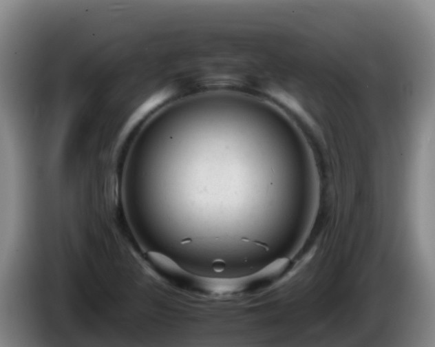 X0000086031317200703301045