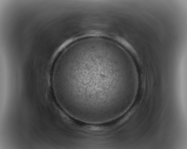 X0000086031318200703301045