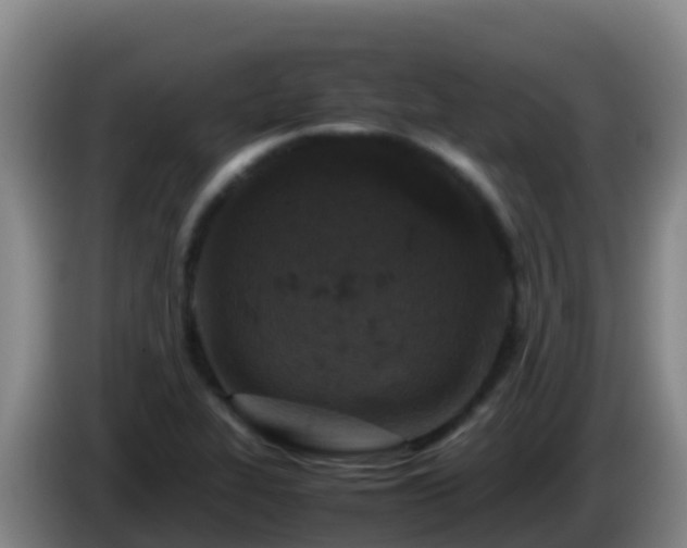X0000086031319200703301045