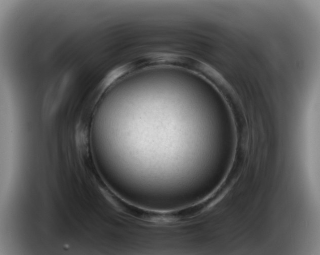 X0000086031321200703301045