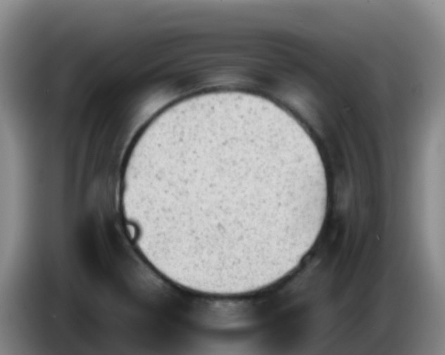 X0000086031322200703301045