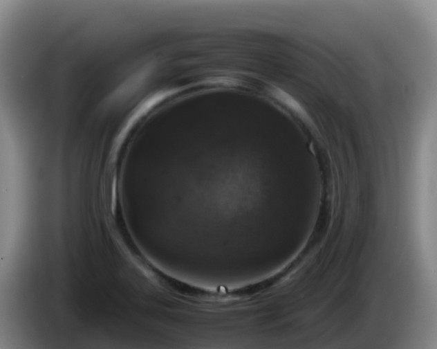 X0000086031323200703301045