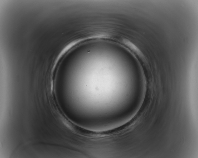 X0000086031324200703301045
