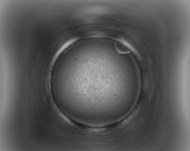 X0000086031325200703301045