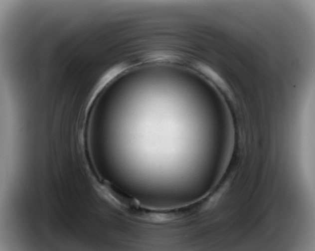 X0000086031330200703301046