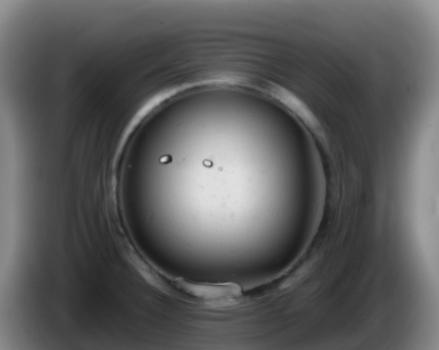X0000086031332200703301046