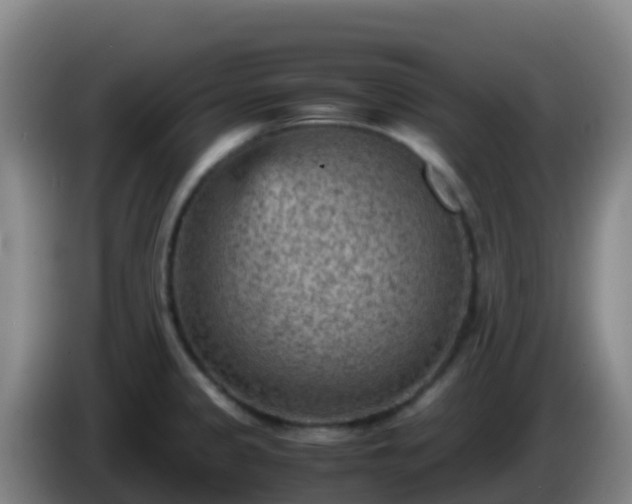 X0000086031333200703301046