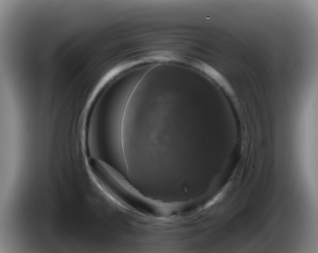 X0000086031334200703301046