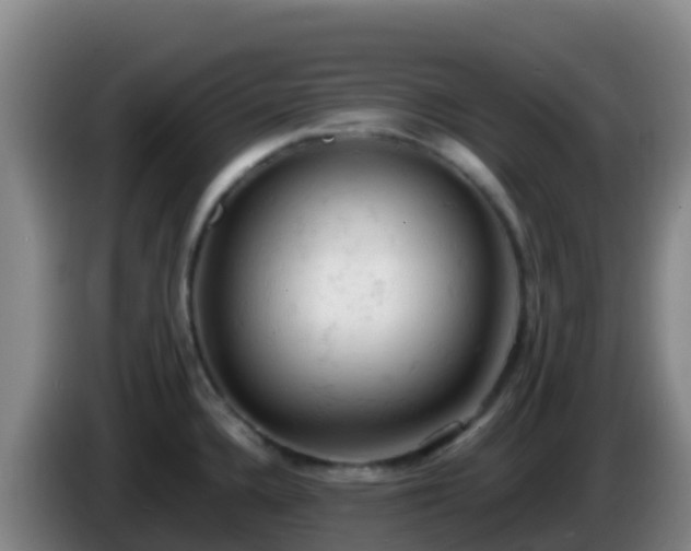 X0000086031336200703301046