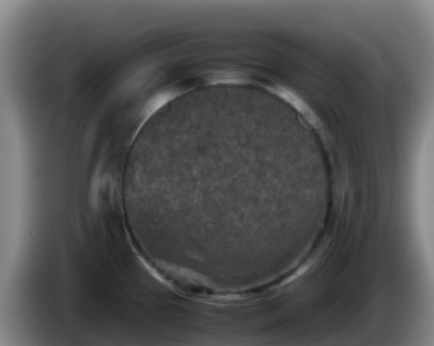 X0000086031337200703301046