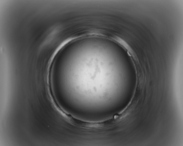 X0000086031339200703301046