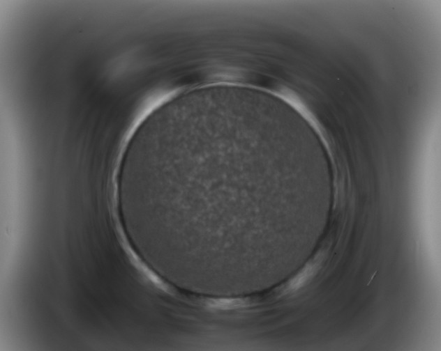 X0000086031341200703301046