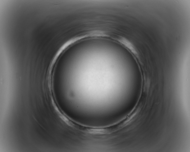 X0000086031342200703301046