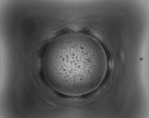 X0000086031347200703301045