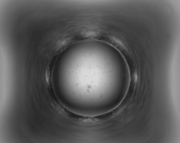 X0000086031348200703301045