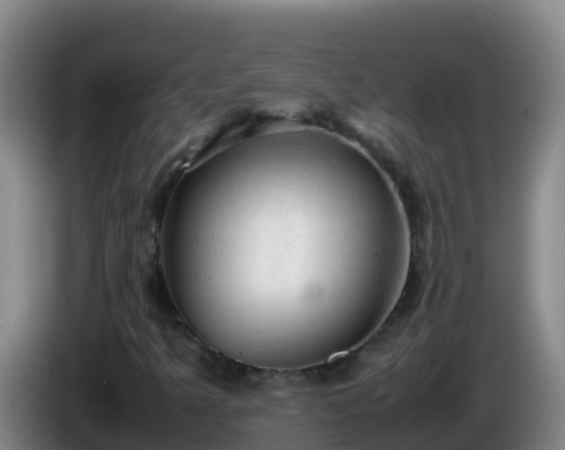 X0000086031349200703301045