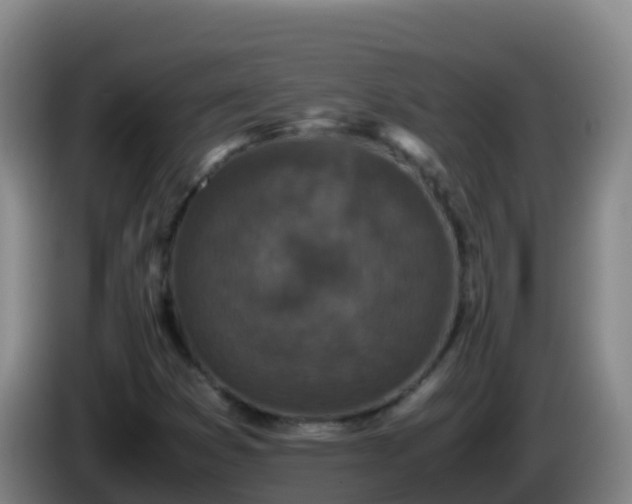 X0000086031353200703301045