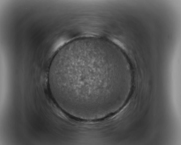 X0000086031355200703301045