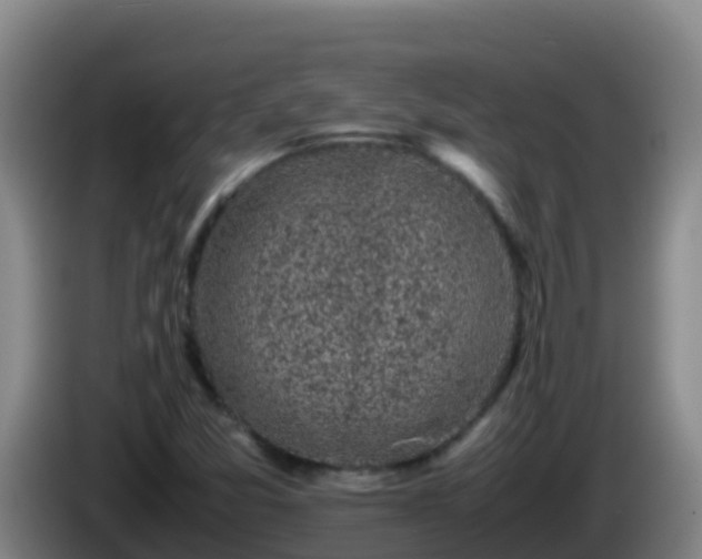 X0000086031357200703301045