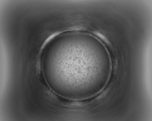 X0000086031358200703301045