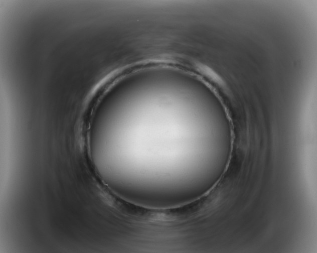 X0000086031360200703301045