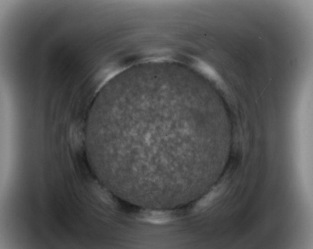 X0000086031361200703301045