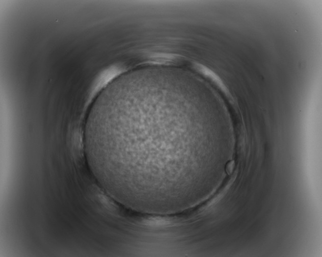 X0000086031362200703301045