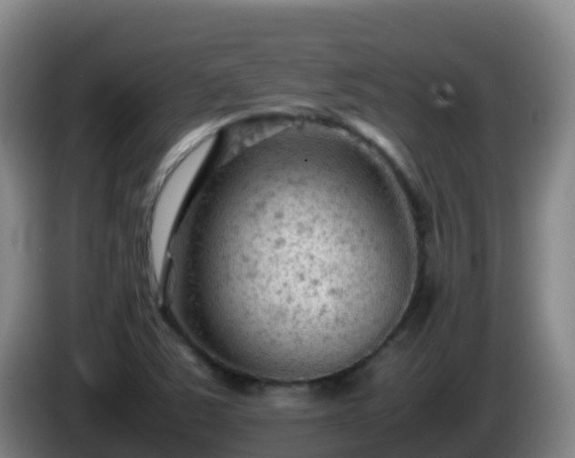 X0000086031363200703301045