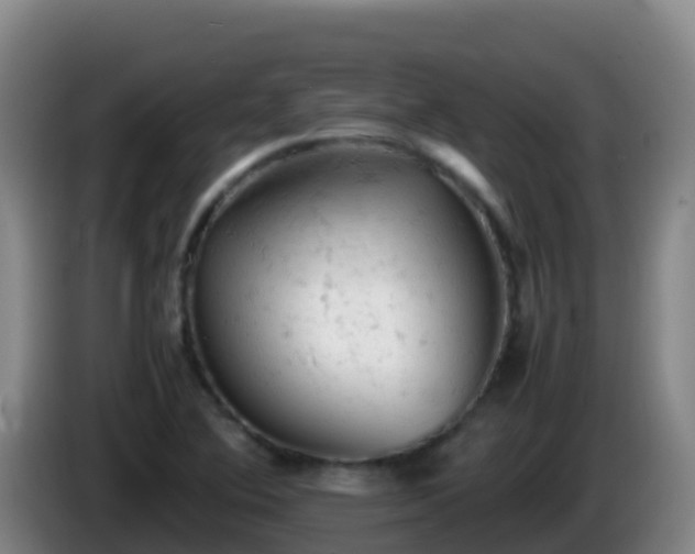 X0000086031364200703301045