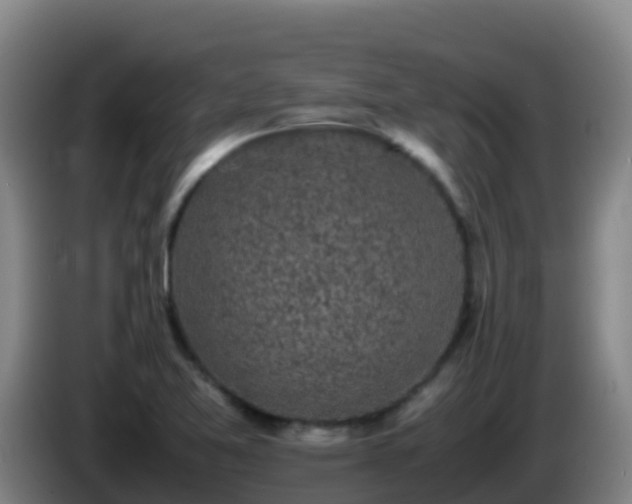 X0000086031365200703301045