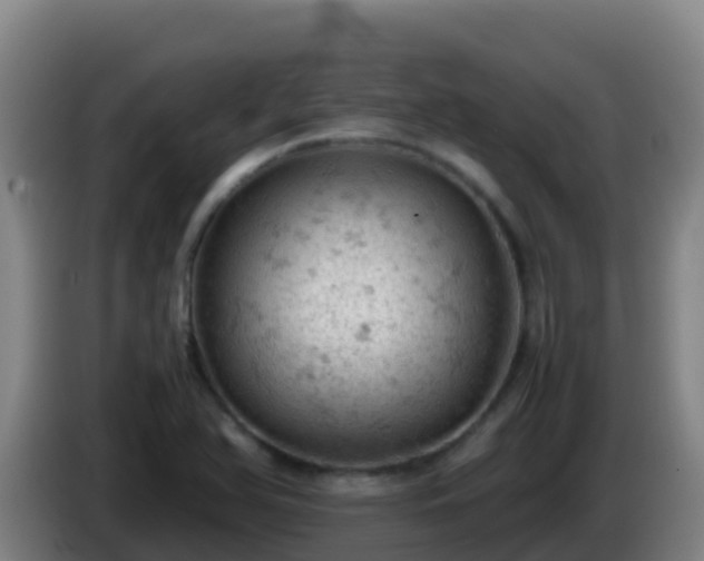 X0000086031366200703301045