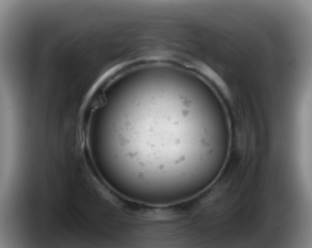X0000086031368200703301045