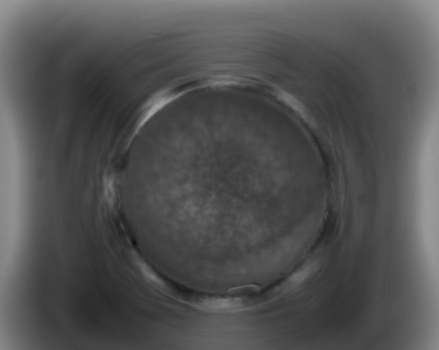 X0000086031369200703301045
