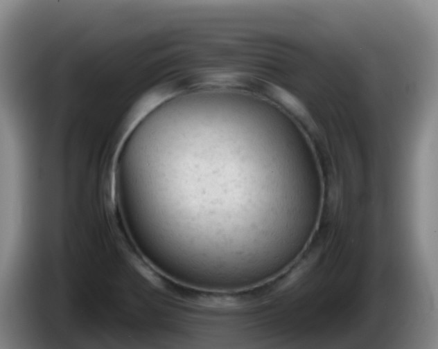 X0000086031370200703301045