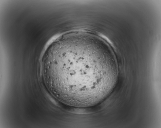 X0000086031371200703301045