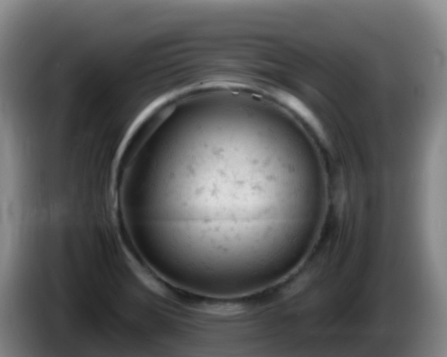 X0000086031372200703301045