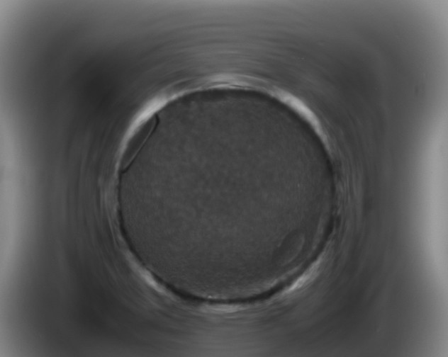 X0000086031373200703301045