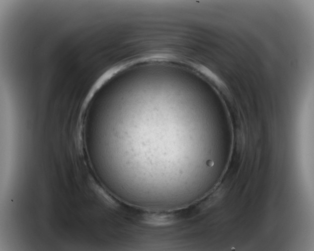 X0000086031374200703301045