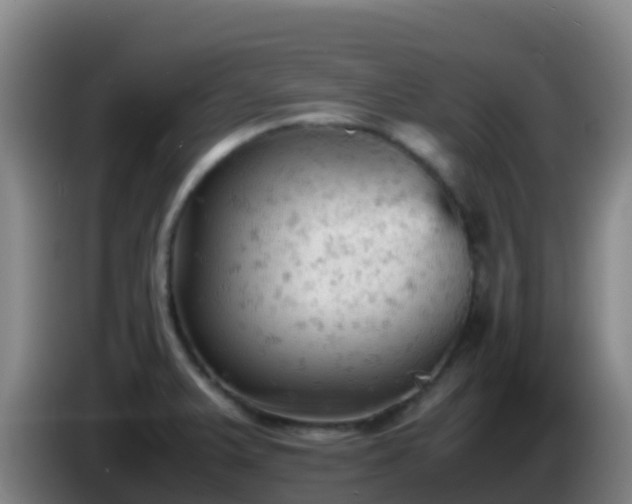 X0000086031375200703301045