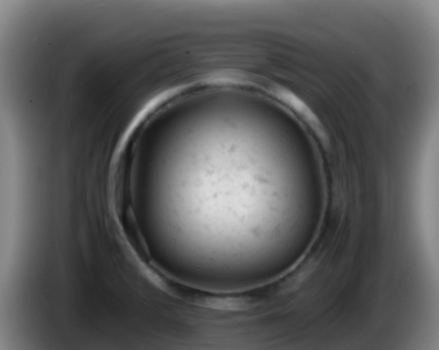 X0000086031376200703301045